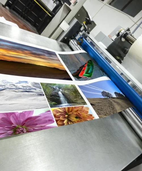 5-types-of-equipment-you-need-to-start-a-printing-business_b3aa69fc-6a56-473e-a62e-a7acab24fba0_1024x1024